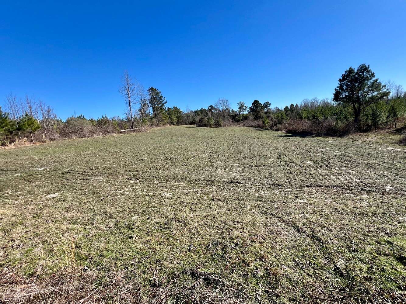 122 Acres of Recreational Land for Sale in Mollie, Alabama