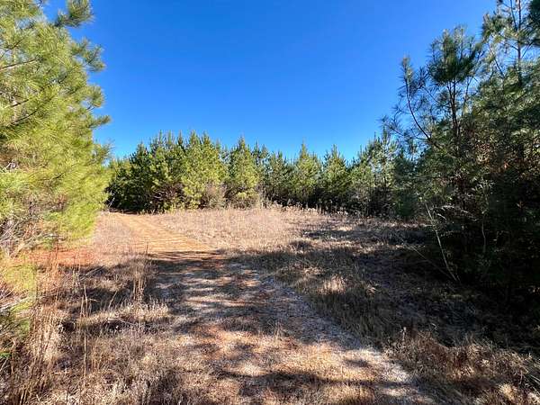 95 Acres of Recreational Land for Sale in Toxey, Alabama