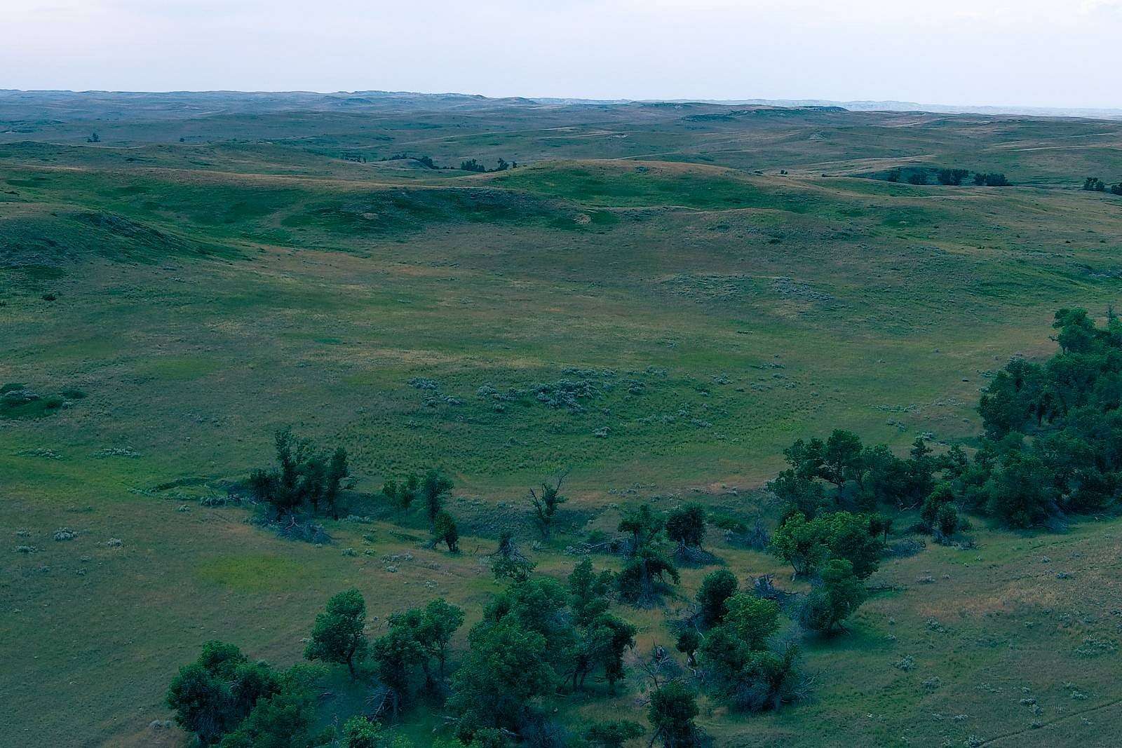 Land for Sale in Plevna, Montana