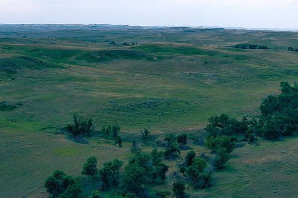 Land for Sale in Plevna, Montana