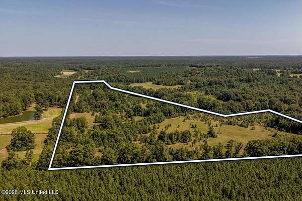 52.3 Acres of Land for Sale in Crystal Springs, Mississippi