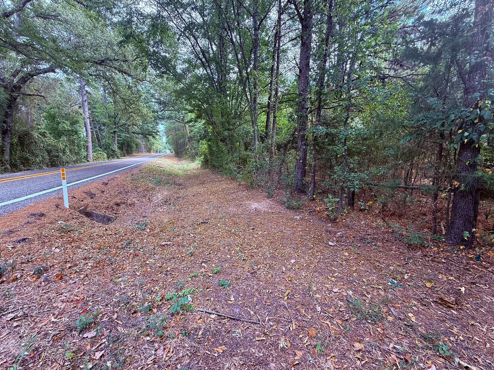 63.5 Acres of Land for Sale in Winnsboro, Texas
