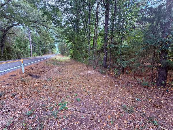 63.5 Acres of Land for Sale in Winnsboro, Texas