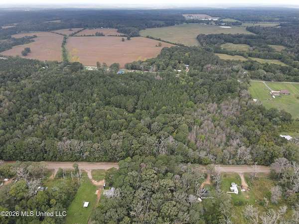 17 Acres of Land for Sale in Forest, Mississippi