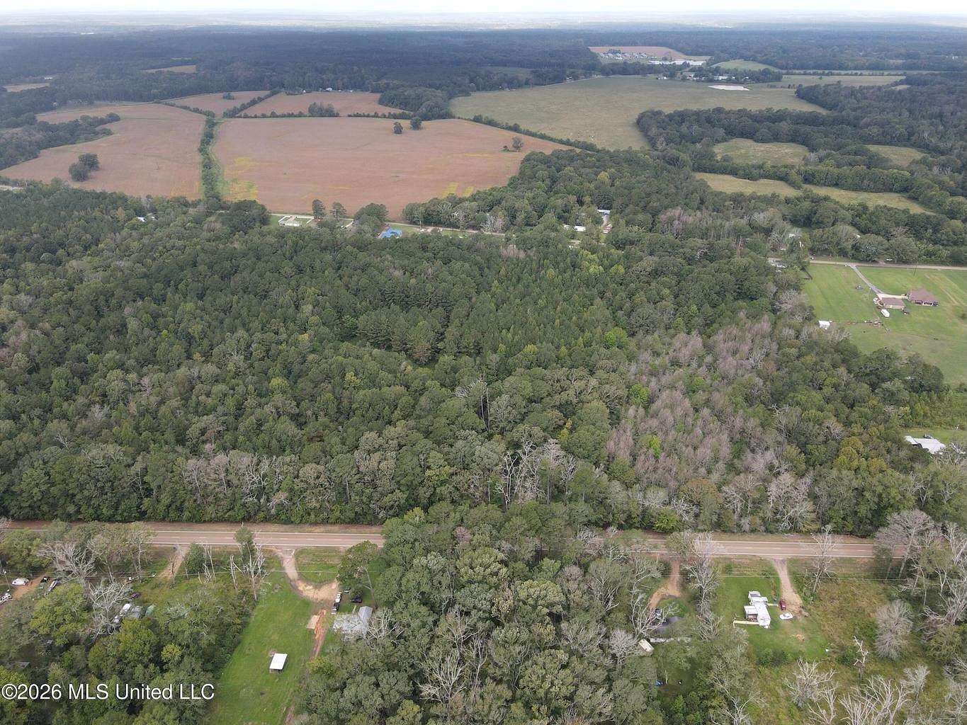 15 Acres of Land for Sale in Forest, Mississippi
