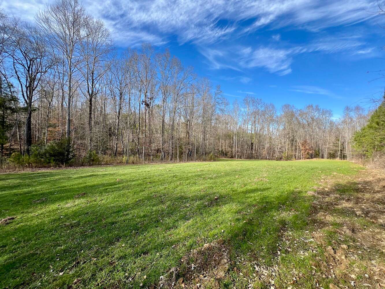 151 Acres of Recreational & Residential Land for Sale in Thomasville, Alabama