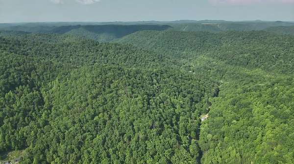 32 Acres of Recreational Land for Sale in Wooton, Kentucky