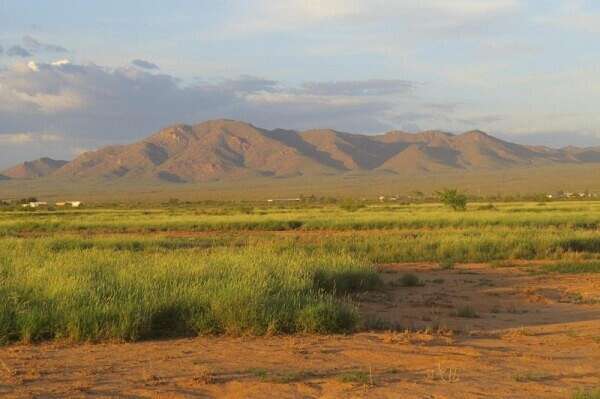 1,568 Acres of Land for Sale in Lordsburg, New Mexico