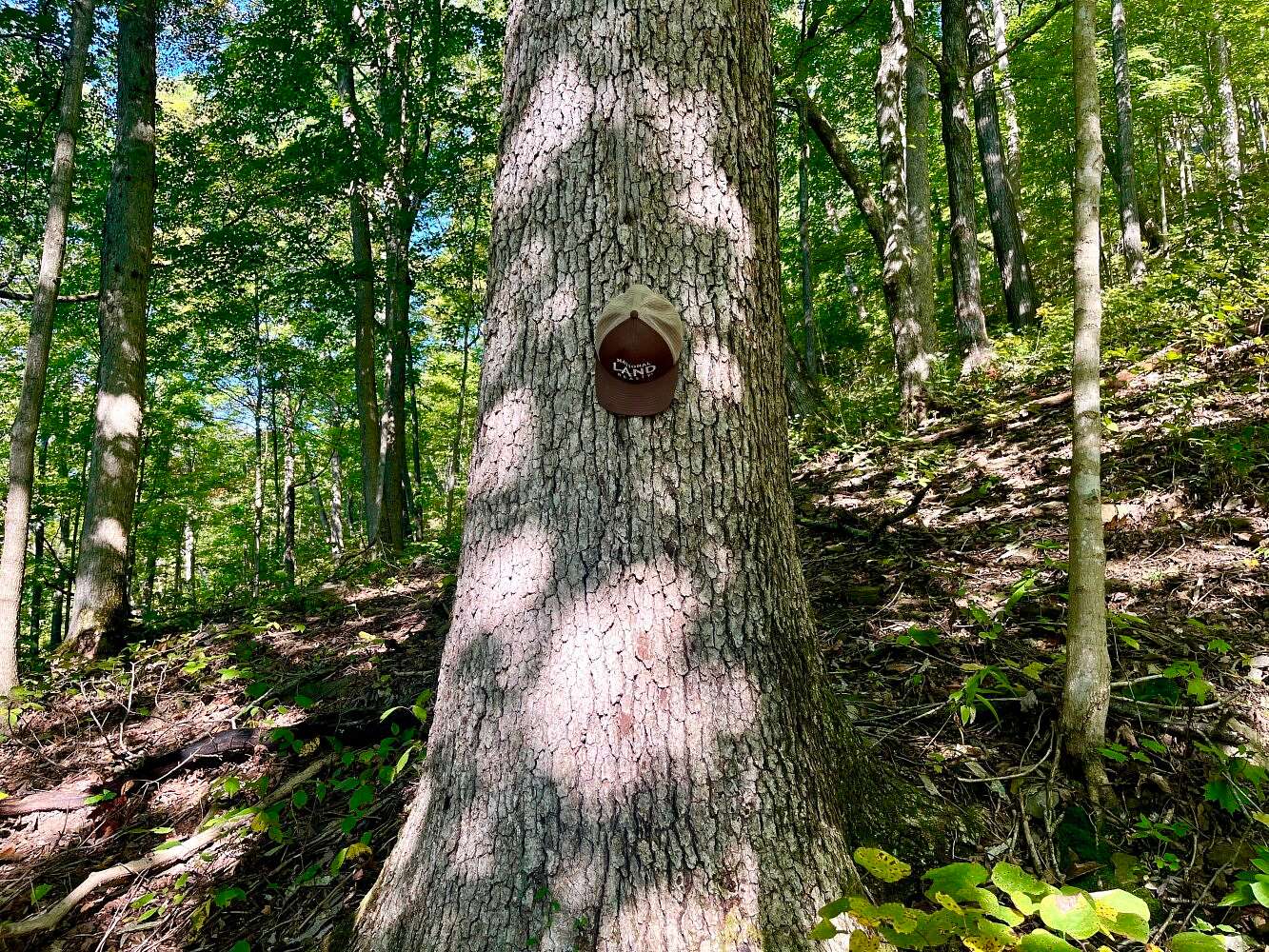 180 Acres of Recreational Land for Sale in Irvine, Kentucky