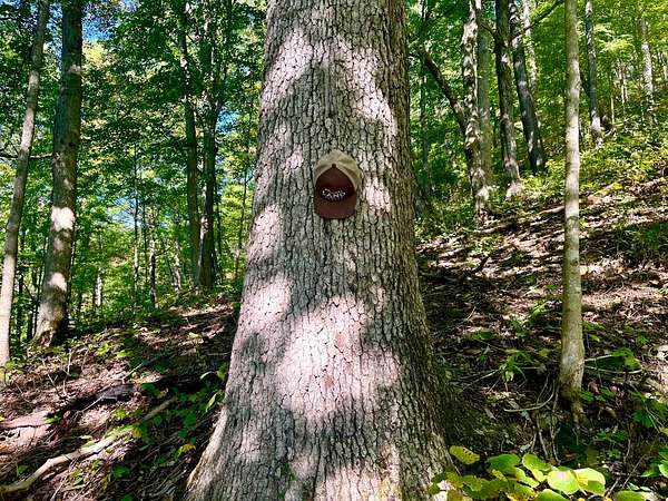 180 Acres of Recreational Land for Sale in Irvine, Kentucky