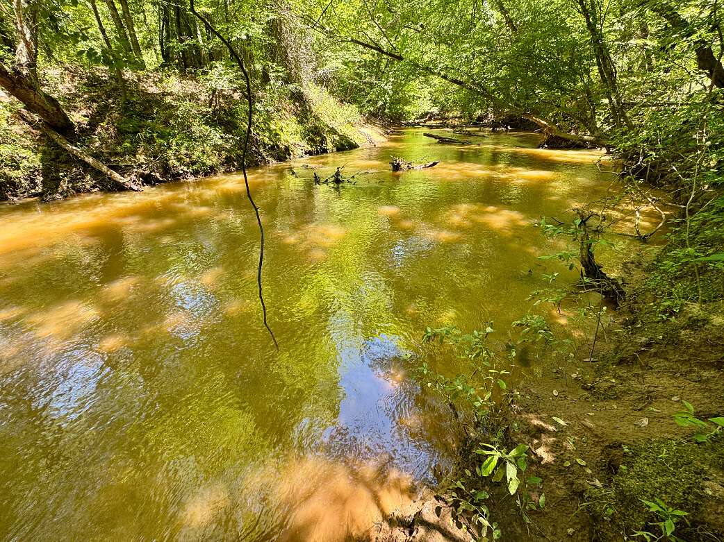 115 Acres of Recreational & Residential Land for Sale in Valley Grande, Alabama