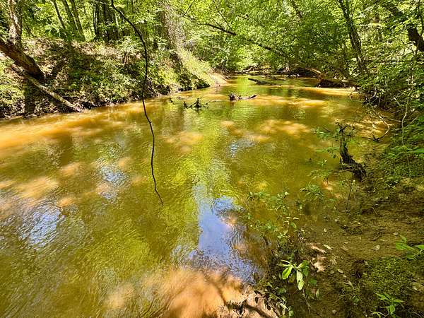 115 Acres of Recreational & Residential Land for Sale in Valley Grande, Alabama