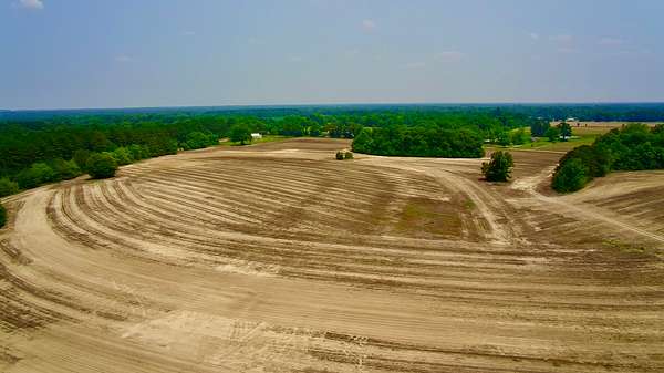 215 Acres of Land for Sale in Ashford, Alabama