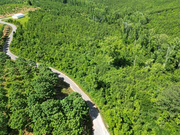 29 Acres of Recreational & Residential Land for Sale in Valley Grande, Alabama