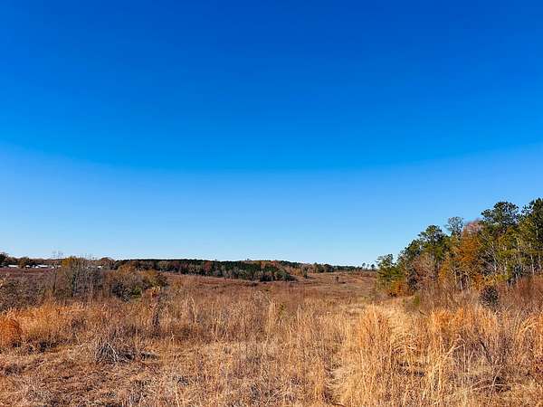 216 Acres of Land for Sale in Rupert, Georgia