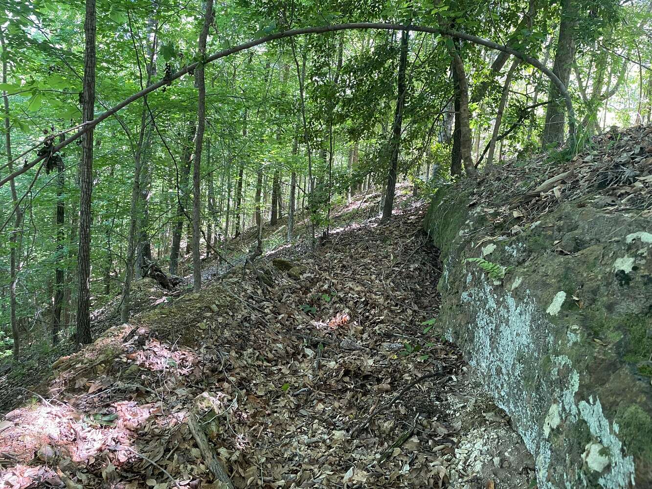 90 Acres of Recreational Land for Sale in Butler, Alabama