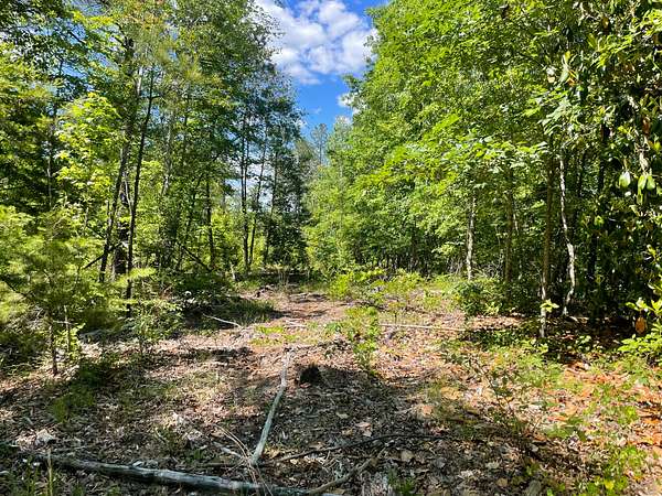 70 Acres of Recreational Land for Sale in Butler, Alabama