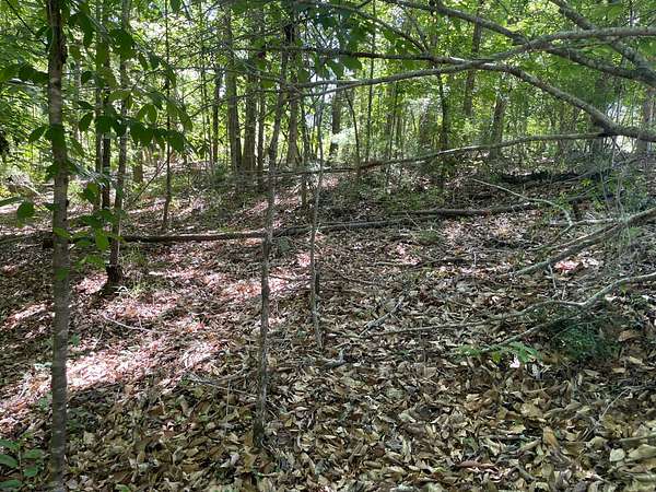 44 Acres of Recreational Land for Sale in Butler, Alabama