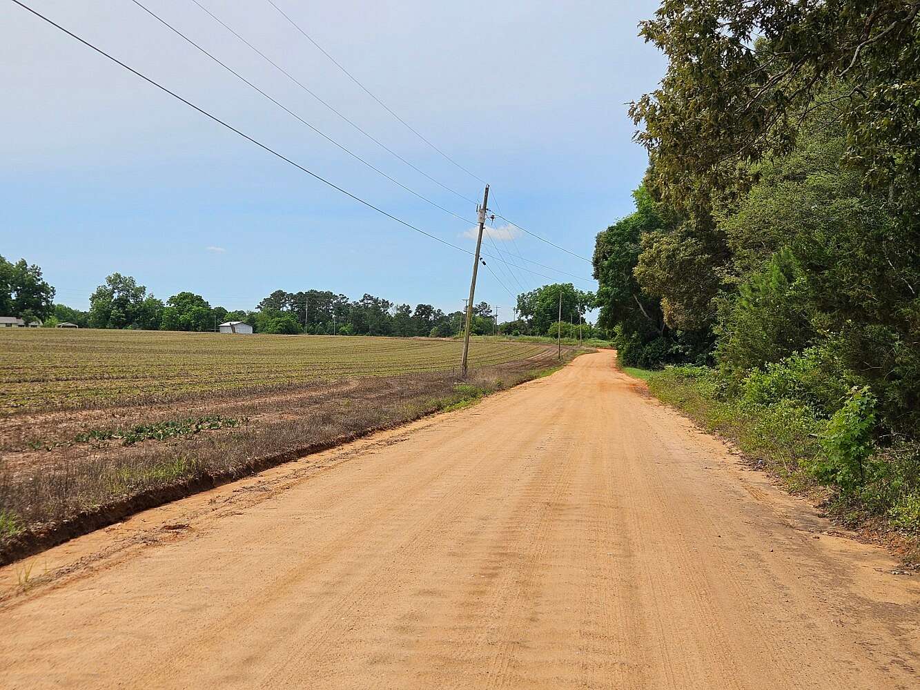 21.3 Acres of Recreational Land for Sale in Midland City, Alabama