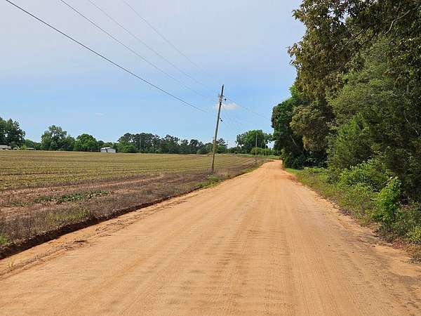 21.3 Acres of Recreational Land for Sale in Midland City, Alabama