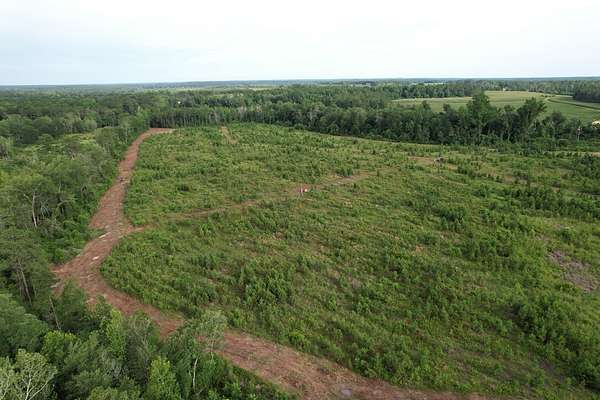 68.7 Acres of Land for Sale in Cadwell, Georgia