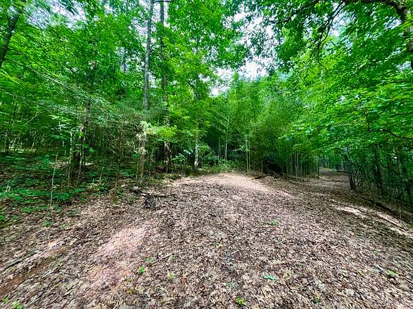 1.3 Acres of Residential Land for Sale in Birmingham, Alabama