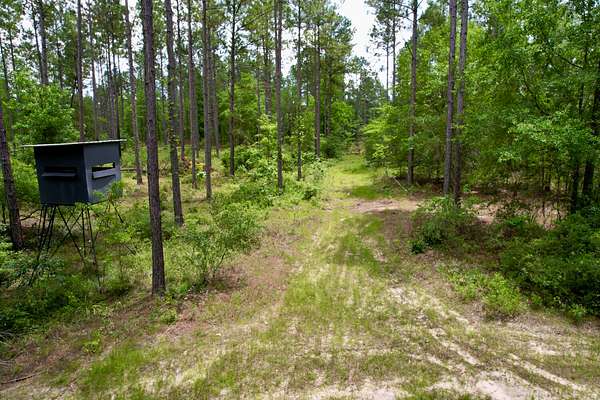 94 Acres of Recreational & Residential Land for Sale in Eastman, Georgia