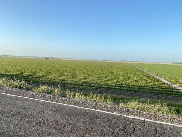 91.1 Acres of Land for Sale in Clarksburg, California