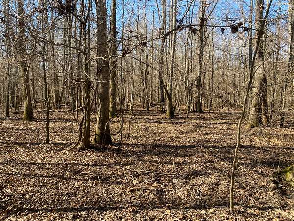 422 Acres of Recreational Land for Sale in Fordyce, Arkansas