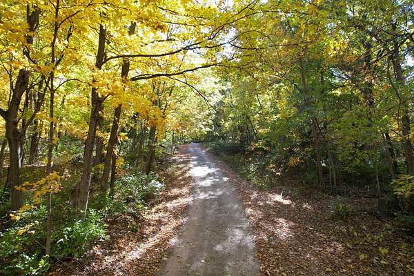 5 Acres of Residential Land for Sale in Lacon, Illinois