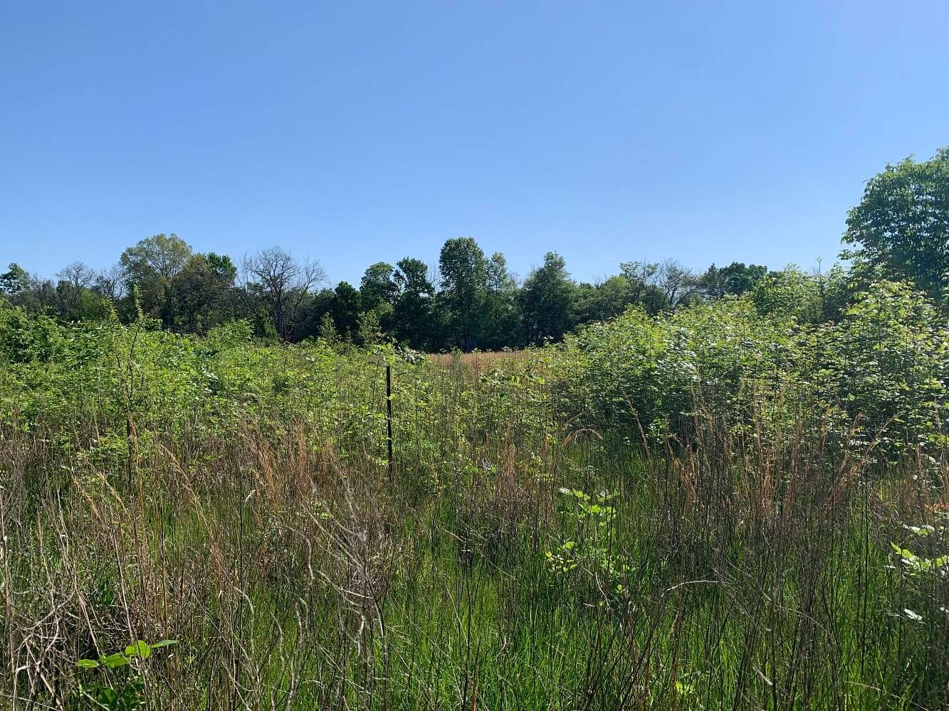78 Acres of Mixed-Use Land for Sale in Rayville, Louisiana