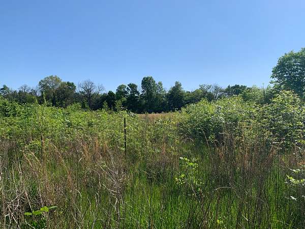 78 Acres of Mixed-Use Land for Sale in Rayville, Louisiana