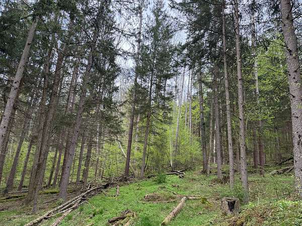 79 Acres of Recreational & Residential Land for Sale in Bradford, Pennsylvania