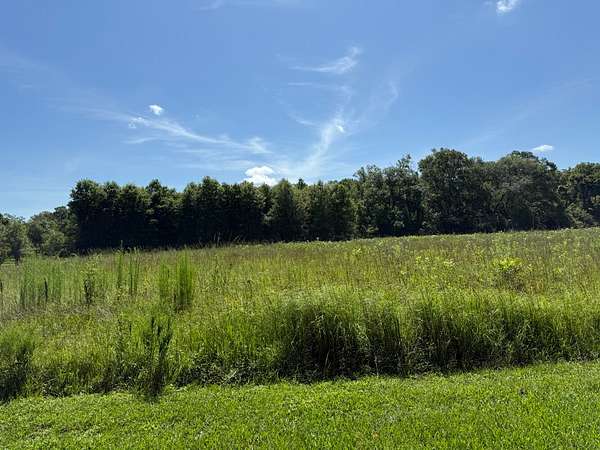 20 Acres of Recreational & Residential Land for Sale in Rayville, Louisiana