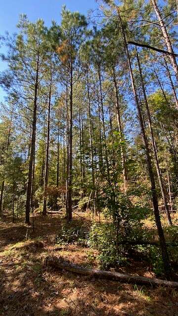 73.4 Acres of Land for Sale in Creola, Alabama