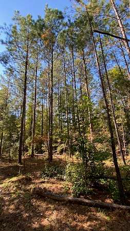 73.4 Acres of Land for Sale in Creola, Alabama
