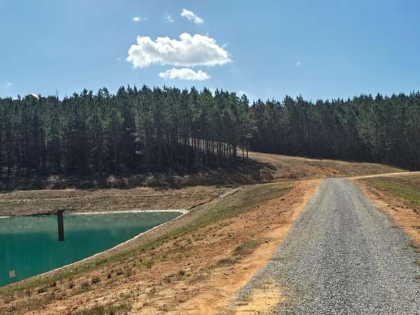 93 Acres of Recreational & Residential Land for Sale in Centreville, Alabama