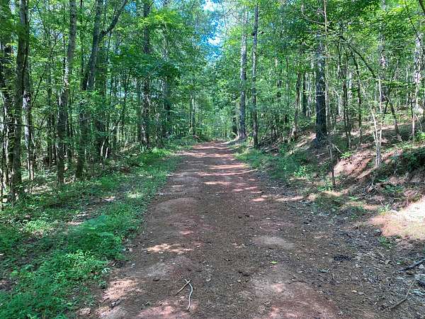 49 Acres of Recreational Land for Sale in Goodwater, Alabama