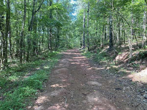49 Acres of Recreational Land for Sale in Goodwater, Alabama