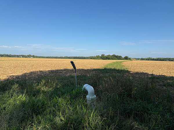 40 Acres of Agricultural & Residential Land for Sale in Rayville, Louisiana