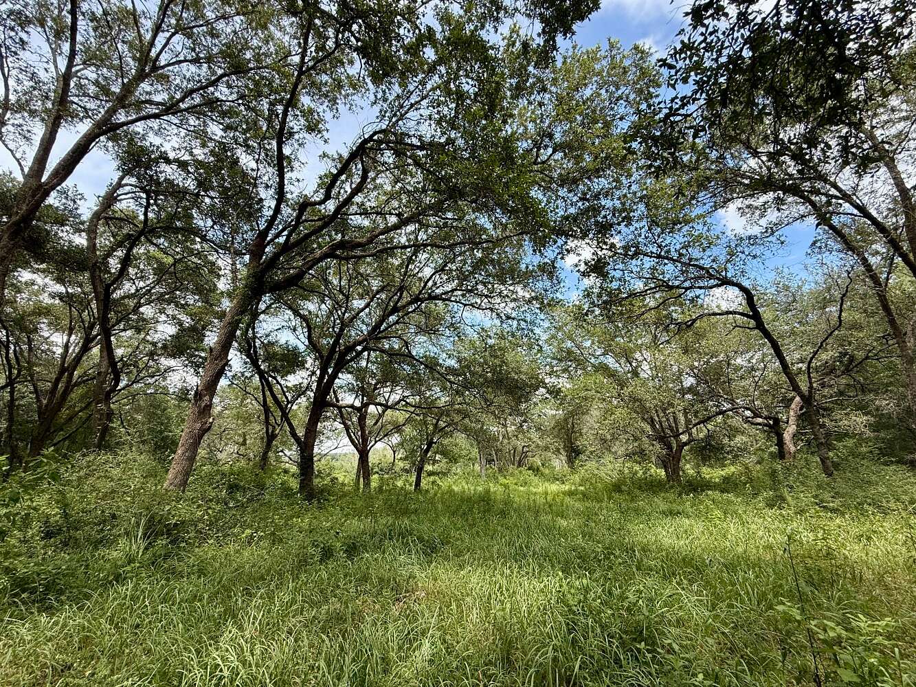 54 Acres of Land for Sale in Grand Bay, Alabama