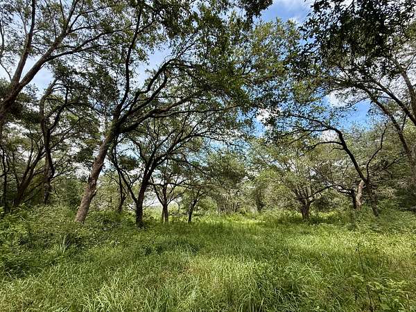 54 Acres of Land for Sale in Grand Bay, Alabama
