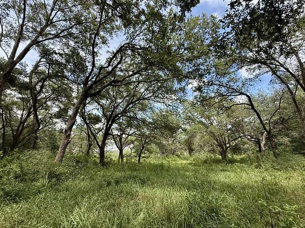 54 Acres of Land for Sale in Grand Bay, Alabama