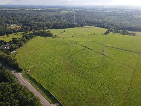 81.5 Acres of Agricultural & Residential Land for Sale in Newton, Alabama