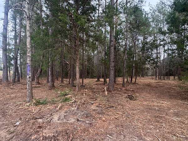 17.4 Acres of Land for Sale in Daleville, Alabama