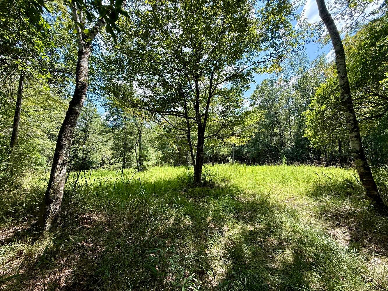 1,066 Acres of Recreational Land for Sale in Vinegar Bend, Alabama