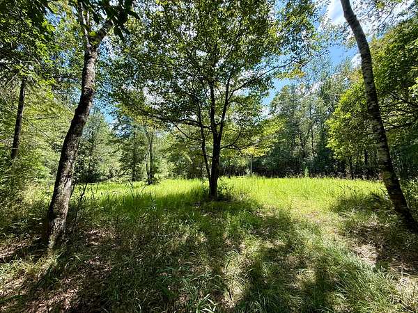 1,066 Acres of Recreational Land for Sale in Vinegar Bend, Alabama