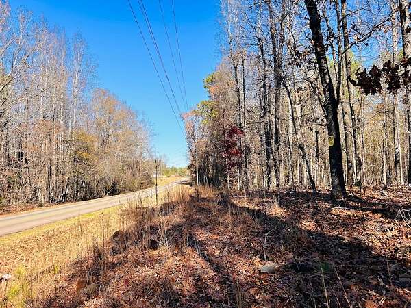 23 Acres of Recreational & Residential Land for Sale in Luthersville, Georgia