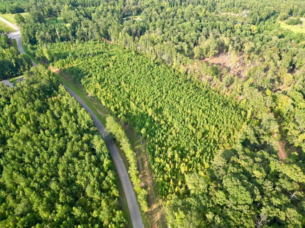 9.8 Acres of Mixed-Use Land for Sale in Jackson, Alabama