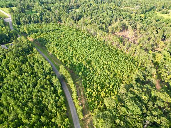 9.8 Acres of Mixed-Use Land for Sale in Jackson, Alabama